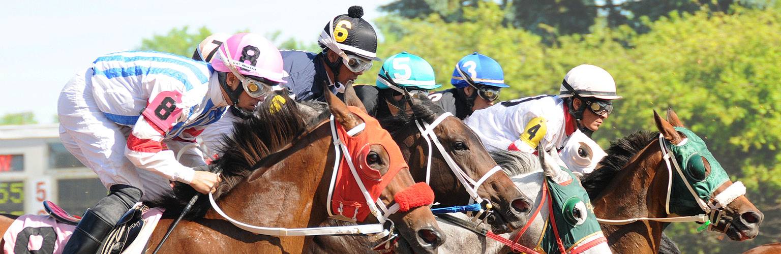 Jockeys on horses | Horse racing at Finger Lakes Gaming & Racetrack