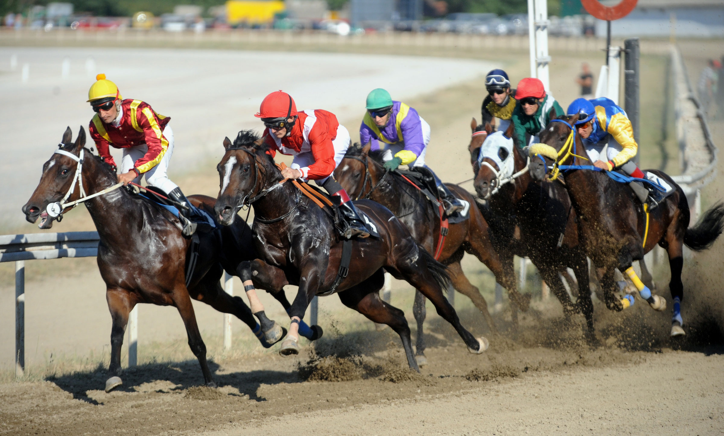 Group of horses mid race