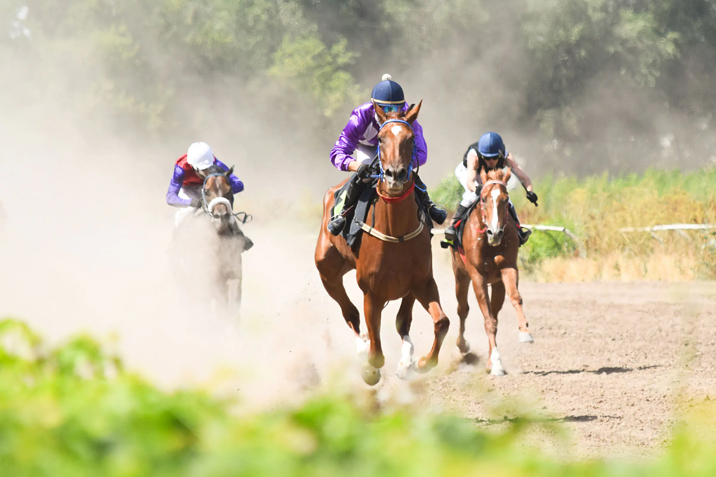 horses mid race