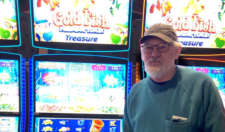 Steven $34,920.00 Gold Fish Feeding Time