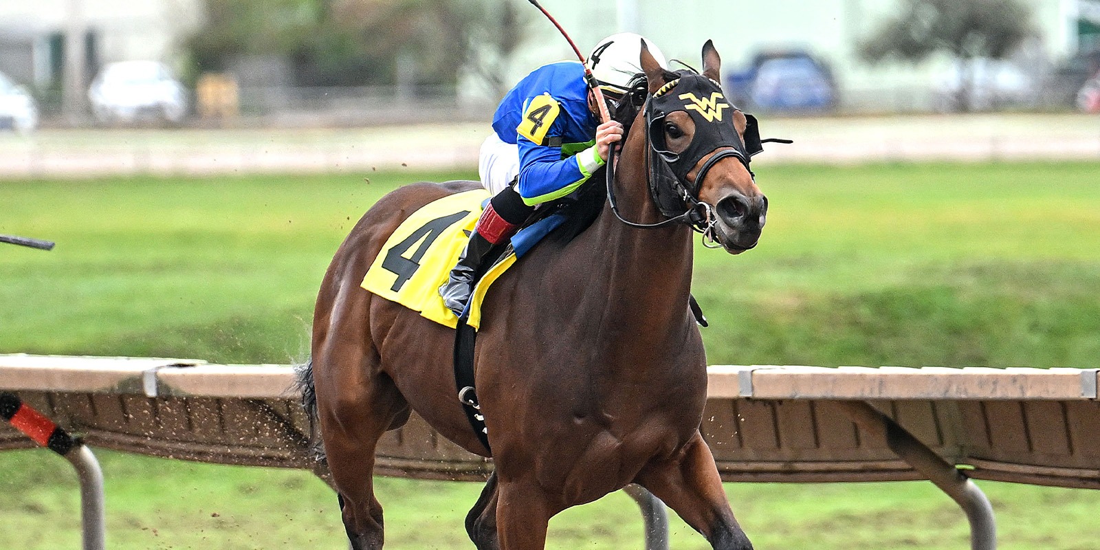 Horse and rider at the races at Finger Lakes Racetrack