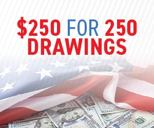 $250 For 250 Drawings