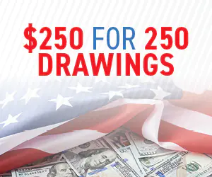 $250 For 250 Drawings
